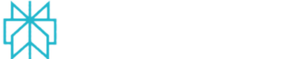 Perplexity AI Logo